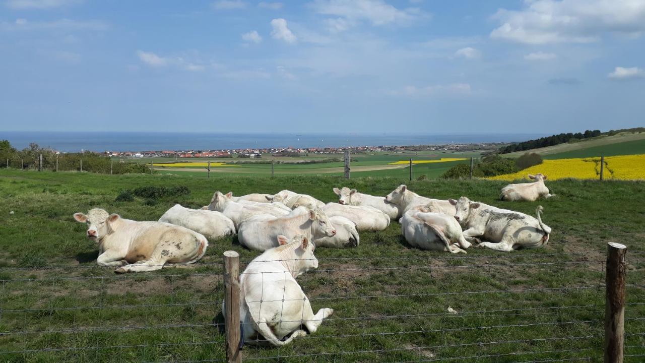 Sangatte " Les Terrasses" Maison Front De Mer Les Pieds Dans L'Eau Pleine De Charme Cap Blanc Nez Cote D'Opale Exterior foto